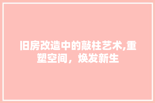 旧房改造中的敲柱艺术,重塑空间，焕发新生 厨房维修
