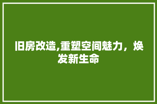 旧房改造,重塑空间魅力，焕发新生命 汽车维修
