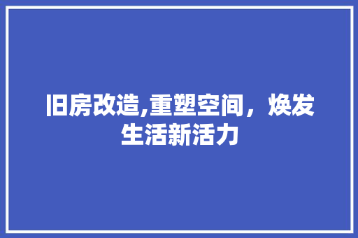 旧房改造,重塑空间，焕发生活新活力 厨房维修
