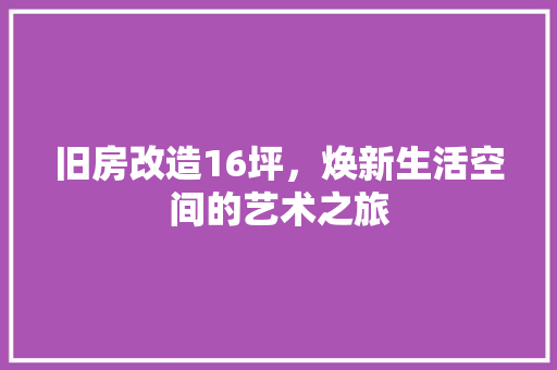 旧房改造16坪，焕新生活空间的艺术之旅 厨房维修