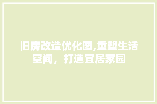 旧房改造优化图,重塑生活空间，打造宜居家园 厨房维修
