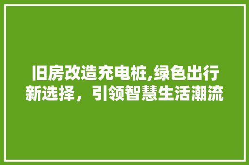 旧房改造充电桩,绿色出行新选择，引领智慧生活潮流 家电维修