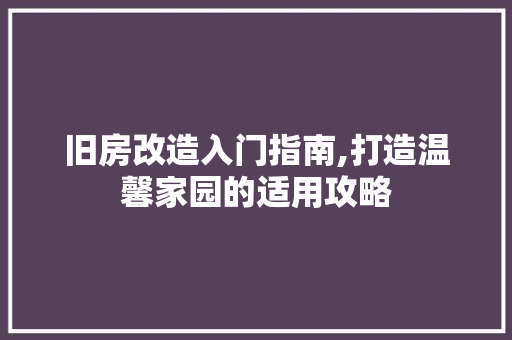 旧房改造入门指南,打造温馨家园的适用攻略 墙体维修
