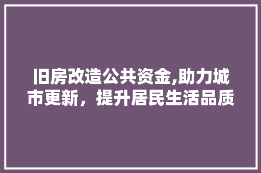 旧房改造公共资金,助力城市更新，提升居民生活品质 家电维修