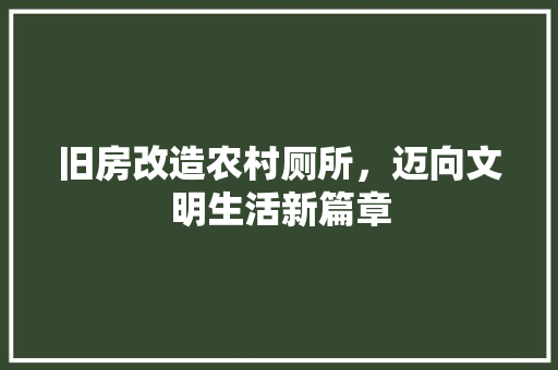 旧房改造农村厕所，迈向文明生活新篇章 厨房维修