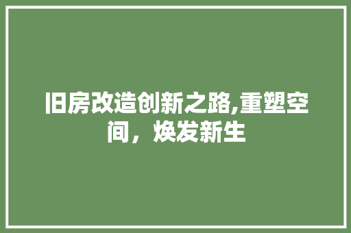 旧房改造创新之路,重塑空间，焕发新生 墙体维修