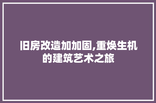 旧房改造加加固,重焕生机的建筑艺术之旅 厨房维修
