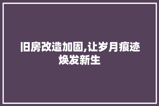 旧房改造加固,让岁月痕迹焕发新生 墙体维修