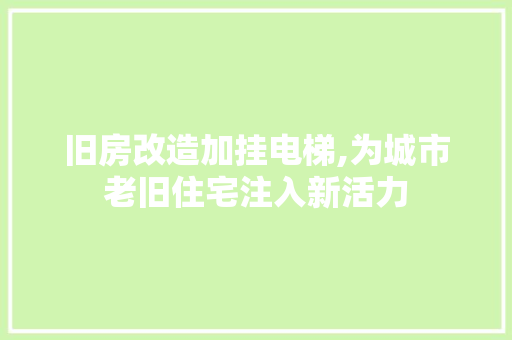 旧房改造加挂电梯,为城市老旧住宅注入新活力 墙体维修