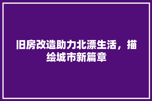 旧房改造助力北漂生活，描绘城市新篇章 墙体维修