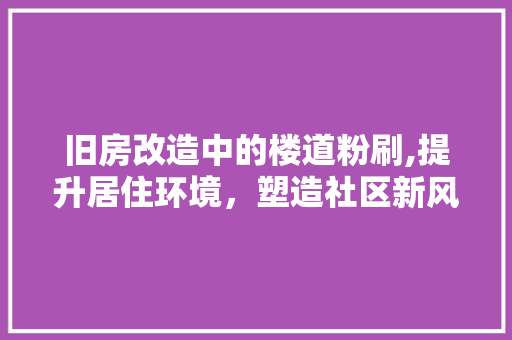 旧房改造中的楼道粉刷,提升居住环境，塑造社区新风貌 汽车维修
