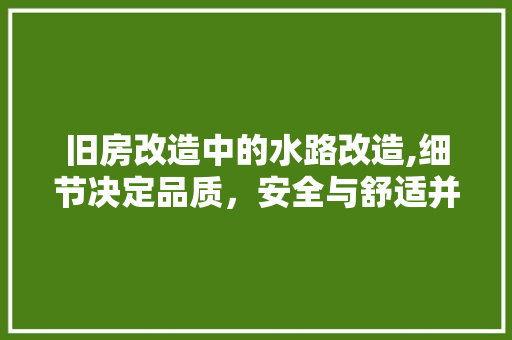 旧房改造中的水路改造,细节决定品质，安全与舒适并行 汽车维修
