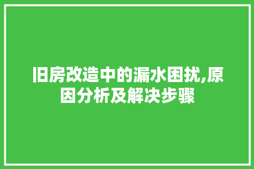 旧房改造中的漏水困扰,原因分析及解决步骤 厨房维修