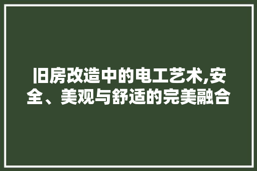 旧房改造中的电工艺术,安全、美观与舒适的完美融合 综合便民