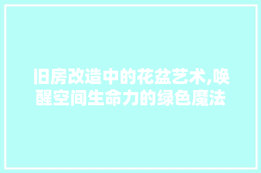 旧房改造中的花盆艺术,唤醒空间生命力的绿色魔法 厨房维修