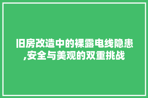 旧房改造中的裸露电线隐患,安全与美观的双重挑战 厨房维修