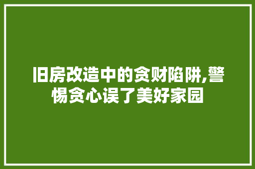 旧房改造中的贪财陷阱,警惕贪心误了美好家园 综合便民