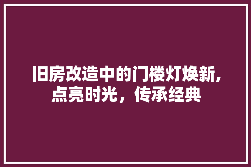 旧房改造中的门楼灯焕新,点亮时光，传承经典 综合便民