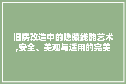 旧房改造中的隐藏线路艺术,安全、美观与适用的完美融合 综合便民