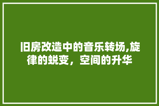 旧房改造中的音乐转场,旋律的蜕变，空间的升华 综合便民
