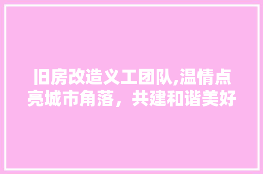 旧房改造义工团队,温情点亮城市角落，共建和谐美好家园 综合便民