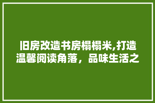 旧房改造书房榻榻米,打造温馨阅读角落，品味生活之美 家电维修