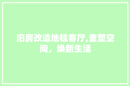 旧房改造地毯客厅,重塑空间，焕新生活