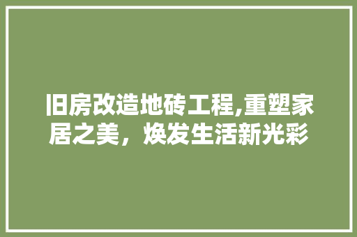 旧房改造地砖工程,重塑家居之美，焕发生活新光彩