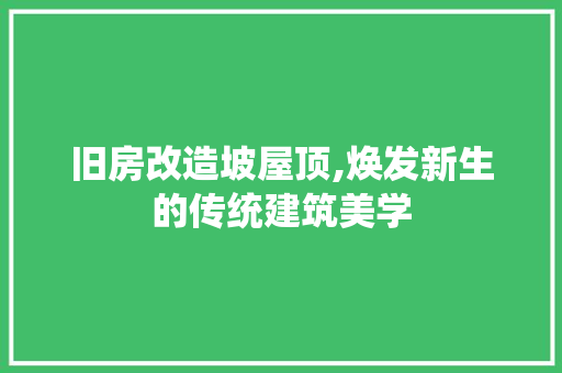 旧房改造坡屋顶,焕发新生的传统建筑美学