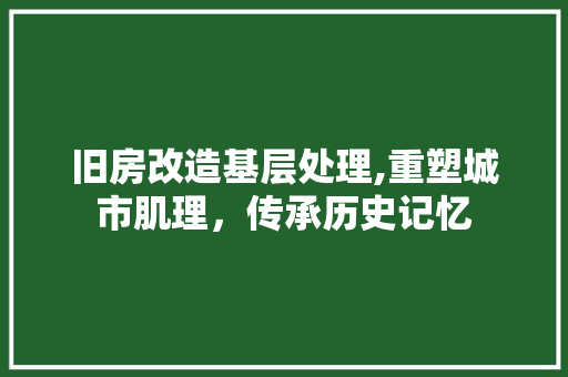 旧房改造基层处理,重塑城市肌理，传承历史记忆