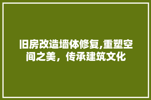 旧房改造墙体修复,重塑空间之美，传承建筑文化 汽车维修