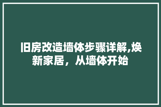 旧房改造墙体步骤详解,焕新家居，从墙体开始 家电维修