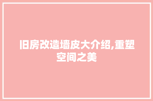 旧房改造墙皮大介绍,重塑空间之美 厨房维修