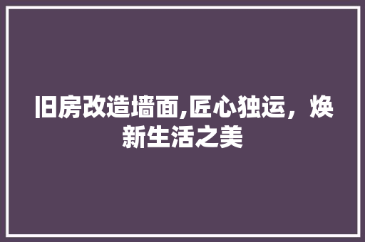 旧房改造墙面,匠心独运，焕新生活之美 汽车维修