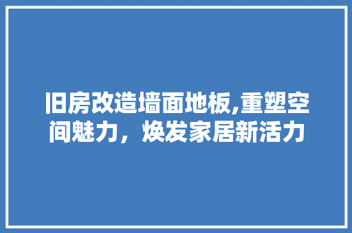 旧房改造墙面地板,重塑空间魅力，焕发家居新活力 墙体维修
