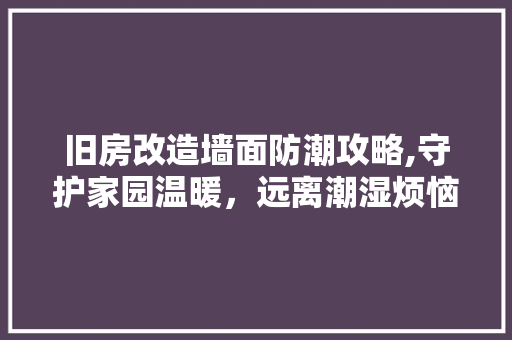 旧房改造墙面防潮攻略,守护家园温暖，远离潮湿烦恼 墙体维修