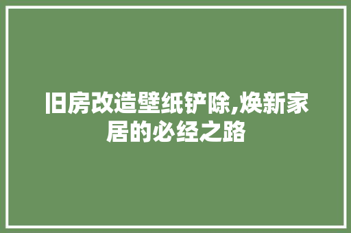 旧房改造壁纸铲除,焕新家居的必经之路 汽车维修