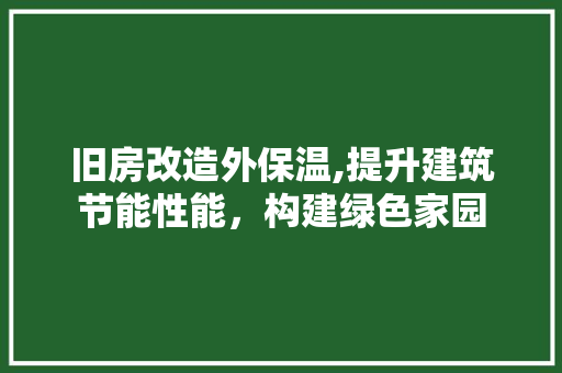 旧房改造外保温,提升建筑节能性能，构建绿色家园 汽车维修
