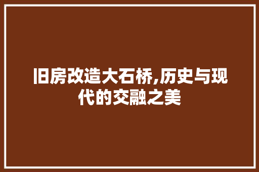 旧房改造大石桥,历史与现代的交融之美 汽车维修