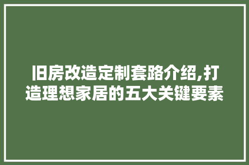 旧房改造定制套路介绍,打造理想家居的五大关键要素 厨房维修
