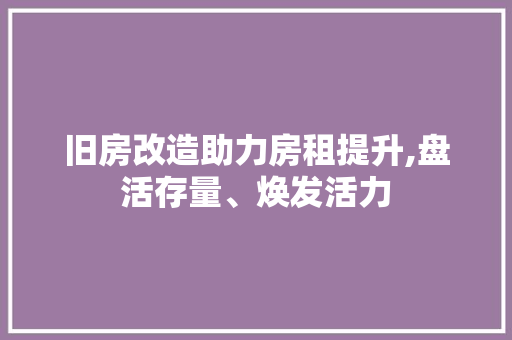 旧房改造助力房租提升,盘活存量、焕发活力 汽车维修