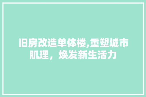 旧房改造单体楼,重塑城市肌理，焕发新生活力 墙体维修