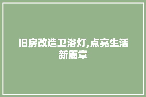 旧房改造卫浴灯,点亮生活新篇章 家电维修