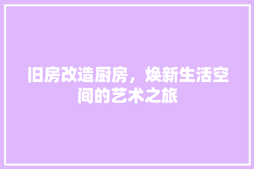 旧房改造厨房，焕新生活空间的艺术之旅 墙体维修