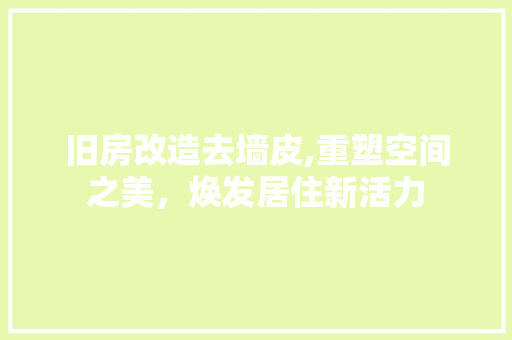 旧房改造去墙皮,重塑空间之美，焕发居住新活力 综合便民