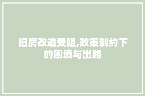 旧房改造受阻,政策制约下的困境与出路 厨房维修