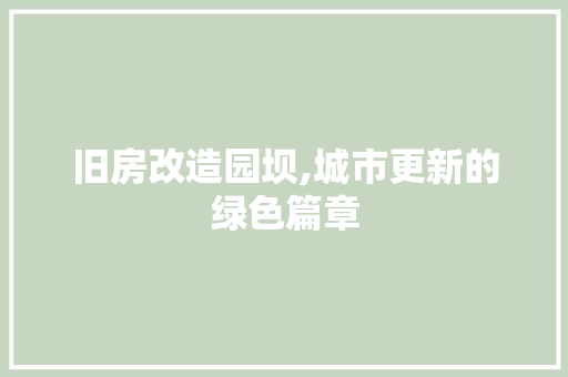 旧房改造园坝,城市更新的绿色篇章 汽车维修