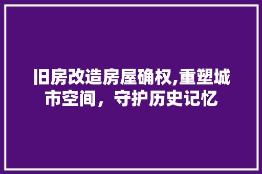旧房改造房屋确权,重塑城市空间，守护历史记忆 家电维修