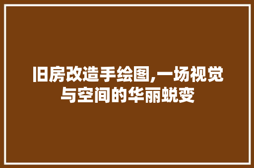 旧房改造手绘图,一场视觉与空间的华丽蜕变 墙体维修