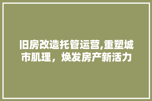 旧房改造托管运营,重塑城市肌理，焕发房产新活力 综合便民